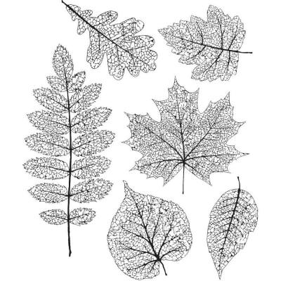 Stampers Anonymous Tim Holtz Cling Stamps - Pressed Foliage